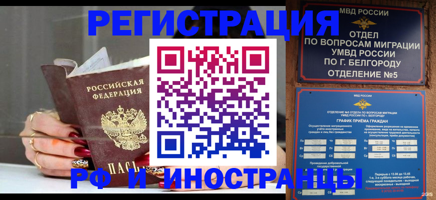 прописка в Можге